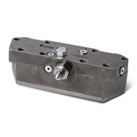 Gold Cup Control Manifold
